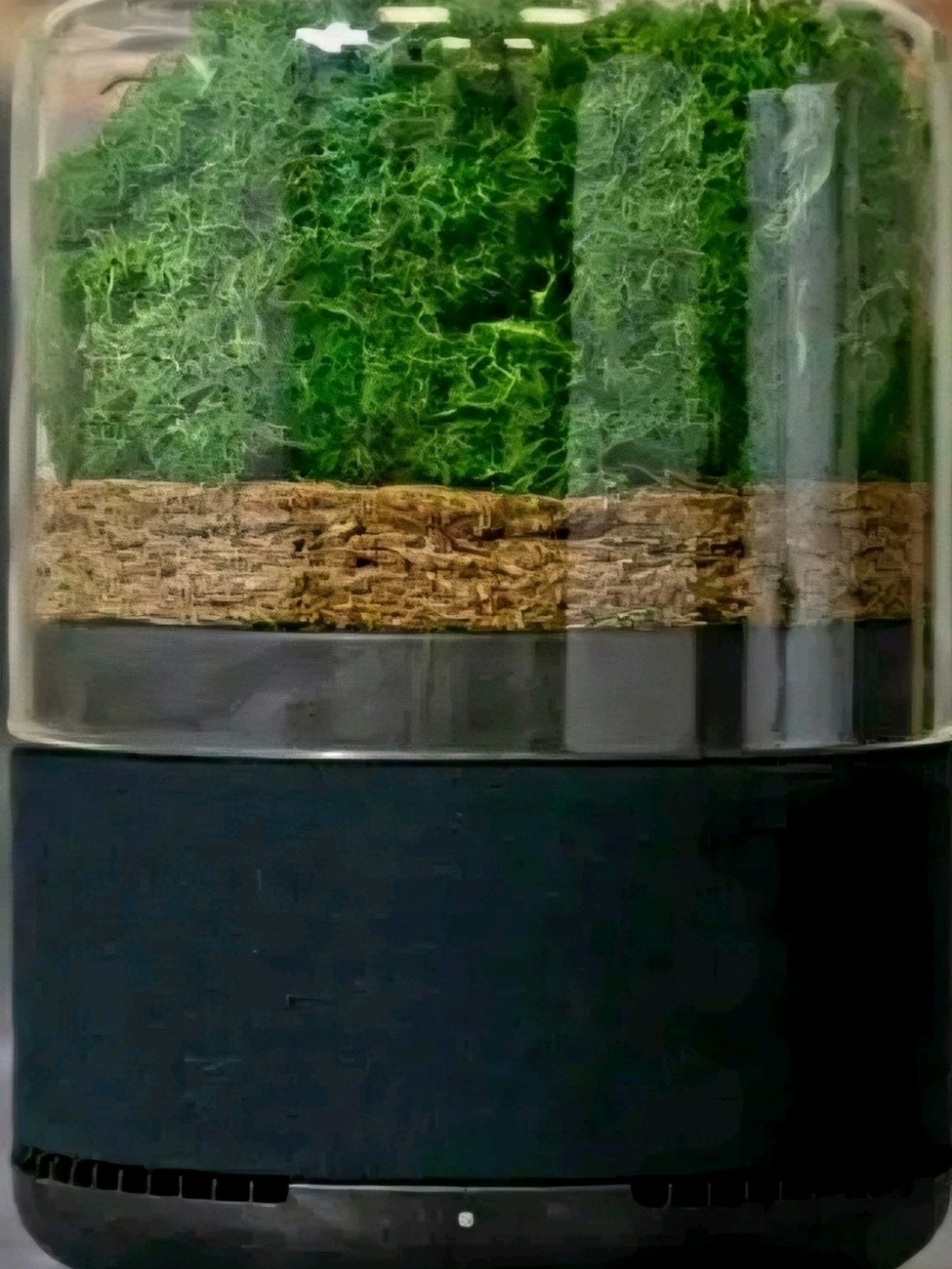 Briiv Eco-Friendly Natural Filtration System Air Purifier - WiFi Connectivity